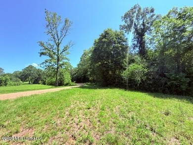 20.63 Acres located on Union Creek Road in Magnolia, MS with - photo 28