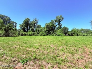 20.63 Acres located on Union Creek Road in Magnolia, MS with - photo 29