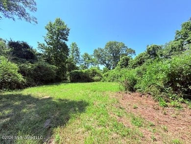 20.63 Acres located on Union Creek Road in Magnolia, MS with - photo 30