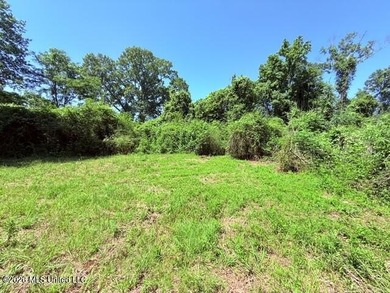 20.63 Acres located on Union Creek Road in Magnolia, MS with - photo 31