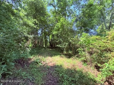 20.63 Acres located on Union Creek Road in Magnolia, MS with - photo 33