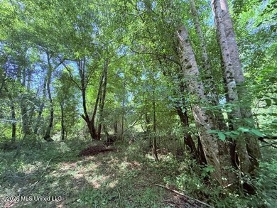 20.63 Acres located on Union Creek Road in Magnolia, MS with - photo 34