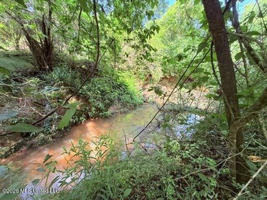 20.63 Acres located on Union Creek Road in Magnolia, MS with - photo 35