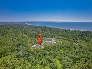 Welcome to 122 Treehouse Circle in the gated east side of - photo 50