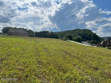 Watts Bar Lake Lot For Sale in Loudon Tennessee