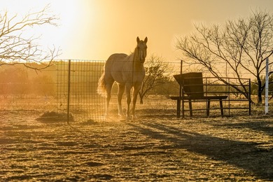 The 392 acre CM Ranch is a turnkey, full scale Texas ranch built - photo 3