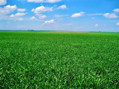 Located just 6.5 miles from Valier, Montana, this 1,236+/- - photo 17