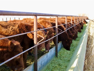 Located just 6.5 miles from Valier, Montana, this 1,236+/- - photo 26