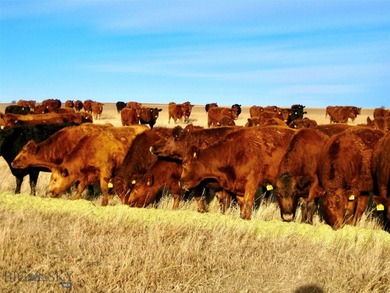 Located just 6.5 miles from Valier, Montana, this 1,236+/- - photo 27