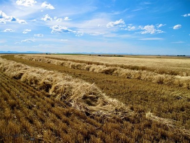Located just 6.5 miles from Valier, Montana, this 1,236+/- - photo 29