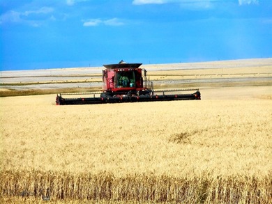 Located just 6.5 miles from Valier, Montana, this 1,236+/- - photo 32