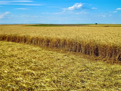 Located just 6.5 miles from Valier, Montana, this 1,236+/- - photo 38