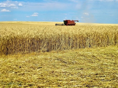 Located just 6.5 miles from Valier, Montana, this 1,236+/- - photo 39