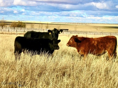 Located just 6.5 miles from Valier, Montana, this 1,236+/- - photo 43