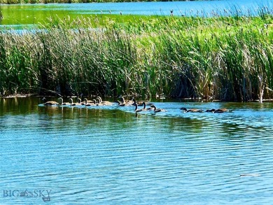 Located just 6.5 miles from Valier, Montana, this 1,236+/- - photo 46