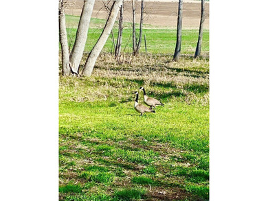 Located just 6.5 miles from Valier, Montana, this 1,236+/- - photo 47