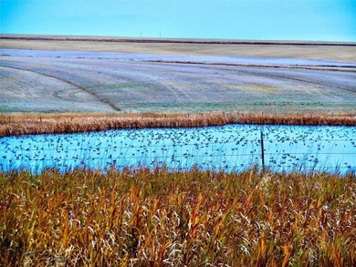 Located just 6.5 miles from Valier, Montana, this 1,236+/- - photo 48