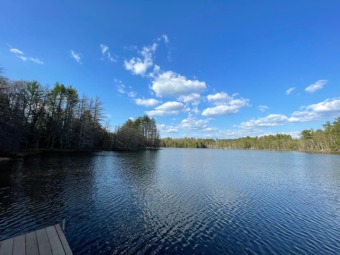 Twin Lake Building Site SOLD - Lake Lot SOLD! in Minocqua, Wisconsin
