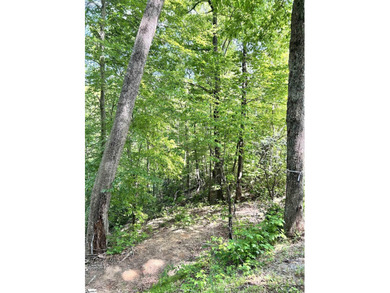 Luxury Live Auction! Bidding to start from $75,000! Set along a - photo 4