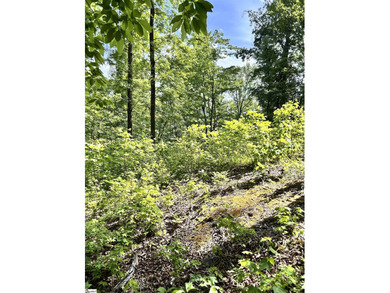 Luxury Live Auction! Bidding to start from $75,000! Set along a - photo 8