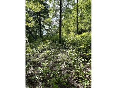 Luxury Live Auction! Bidding to start from $75,000! Set along a - photo 9