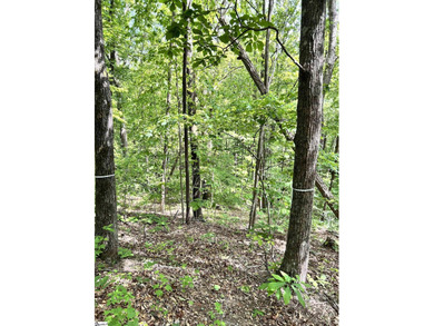 Luxury Live Auction! Bidding to start from $75,000! Set along a - photo 10