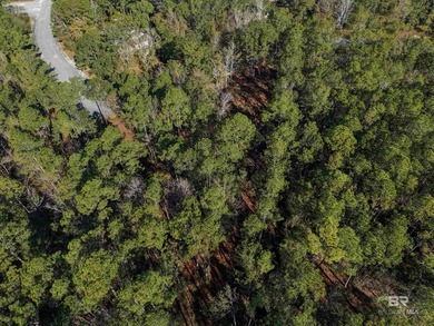 Situated in the exclusive Sanctuary subdivision, this lot offers - photo 4