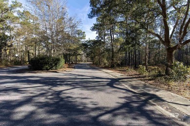 Situated in the exclusive Sanctuary subdivision, this lot offers - photo 8