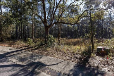 Situated in the exclusive Sanctuary subdivision, this lot offers - photo 9