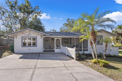 Lake Home For Sale in Mount Dora, Florida