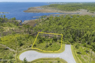 Welcome to 900 Lanyard Court, a beautifully positioned homesite - photo 2