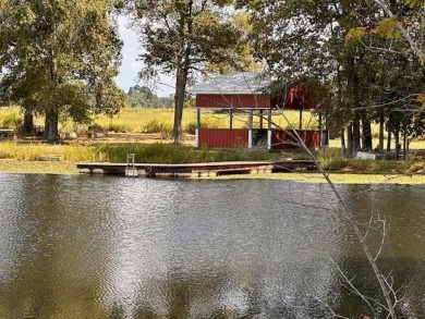 Lake Home For Sale in Irvington, Kentucky