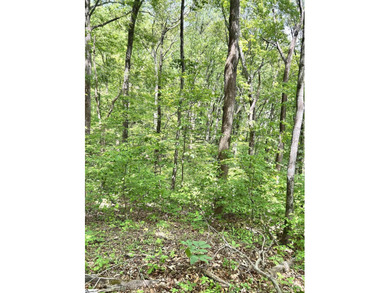 Luxury Live Auction! Bidding to start from $50,000! Perched - photo 2