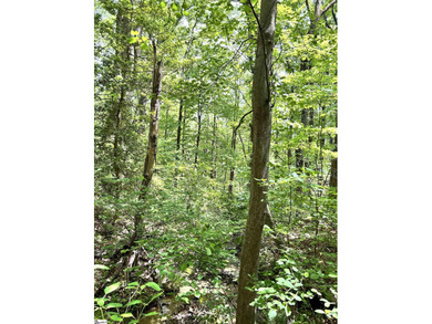 Luxury Live Auction! Bidding to start from $50,000! Perched - photo 5