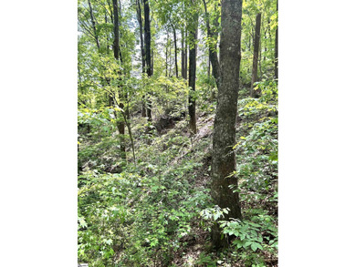 Luxury Live Auction! Bidding to start from $50,000! Perched - photo 9