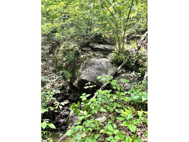 Luxury Live Auction! Bidding to start from $50,000! Perched - photo 10