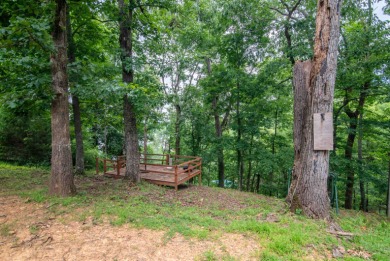 Welcome to this charming 3 bed, 2 bath home set on 1.13 acres - photo 28