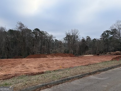 This stunning new construction ranch home offers the perfect - photo 3