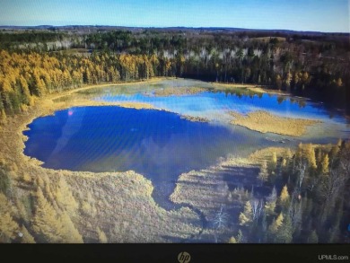 (private lake, pond, creek) Acreage For Sale in Vulcan Michigan