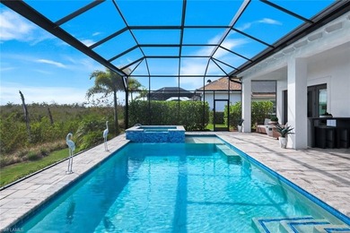 Luxury living at it's best in The Isles of Collier Preserve - photo 25