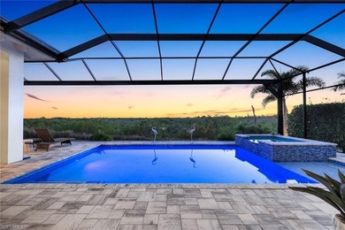 Luxury living at it's best in The Isles of Collier Preserve - photo 28