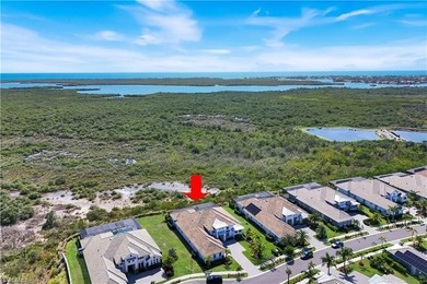 Luxury living at it's best in The Isles of Collier Preserve - photo 49