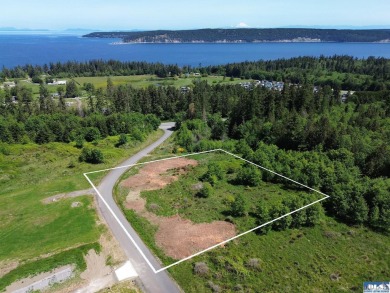 Strait Juan de Fuca  Acreage For Sale in Sequim Washington