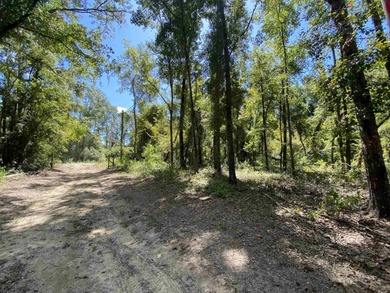 Sneads Smokehouse Lake  Acreage Active Under Contract in Greenville Florida