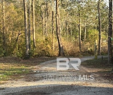 This improved lot is located within minutes to I-10 and an easy - photo 2