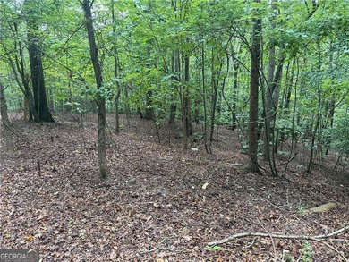 (private lake, pond, creek) Acreage For Sale in Canton Georgia