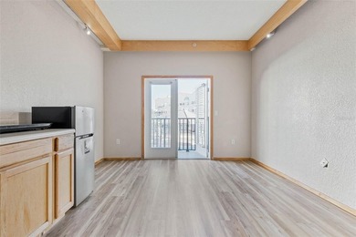 European Village investment opportunity offering flexibility - photo 11