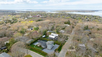 Coastal Sophistication: Modern Masterpiece in Sag Harbor Village - photo 5