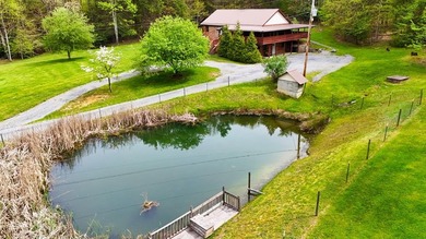 (private lake, pond, creek) Home For Sale in Hico West Virginia