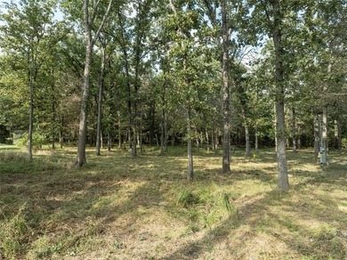 Lake Lot For Sale in Murchison, Texas